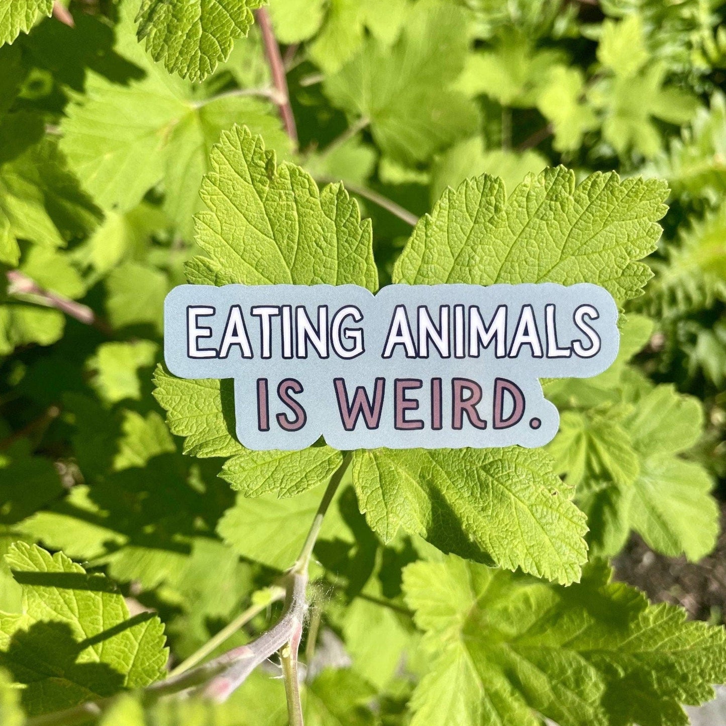 Eating Animals Is Weird Sticker | Sticker