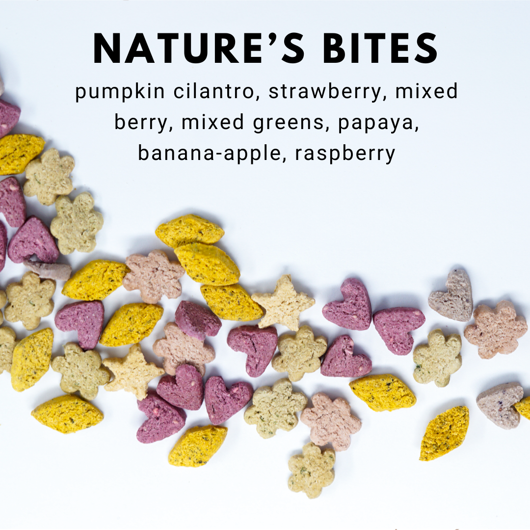 Nature's Bites Variety Pack