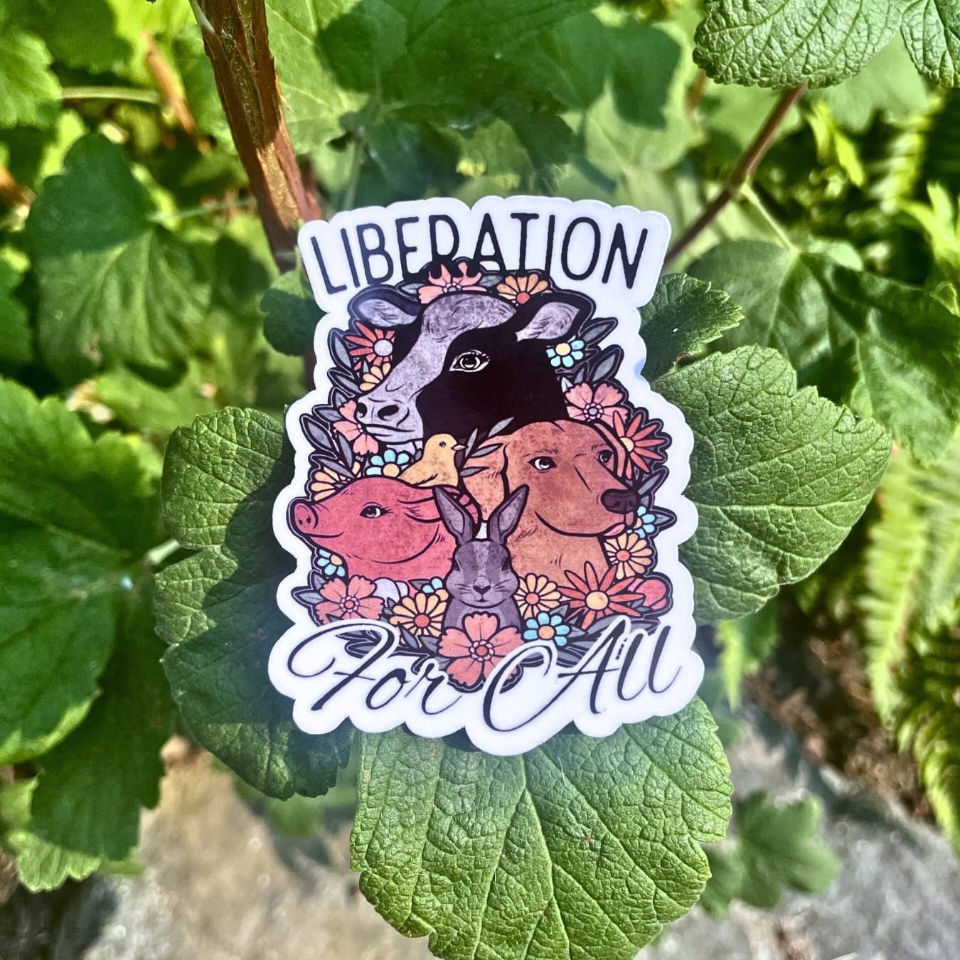 Liberation For All | Sticker