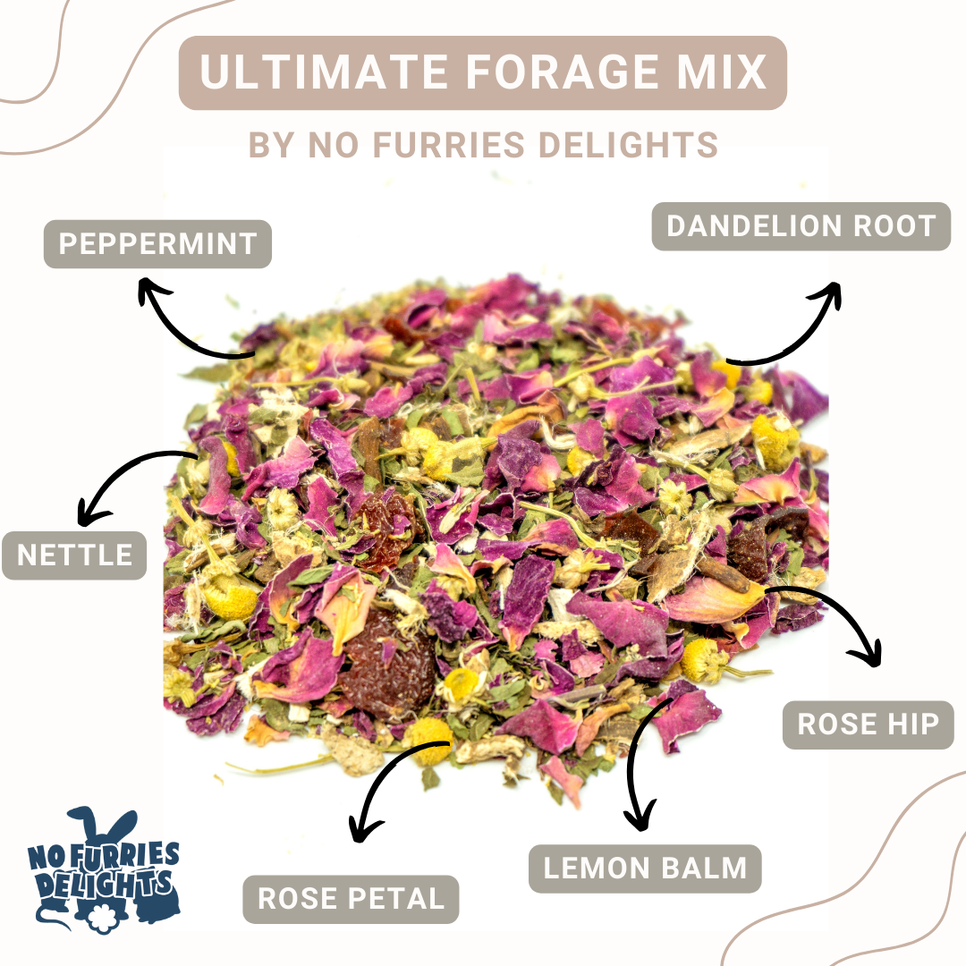 Ultimate Forage Mix