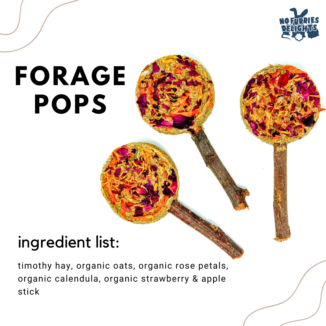 Forage Pops (5pcs)