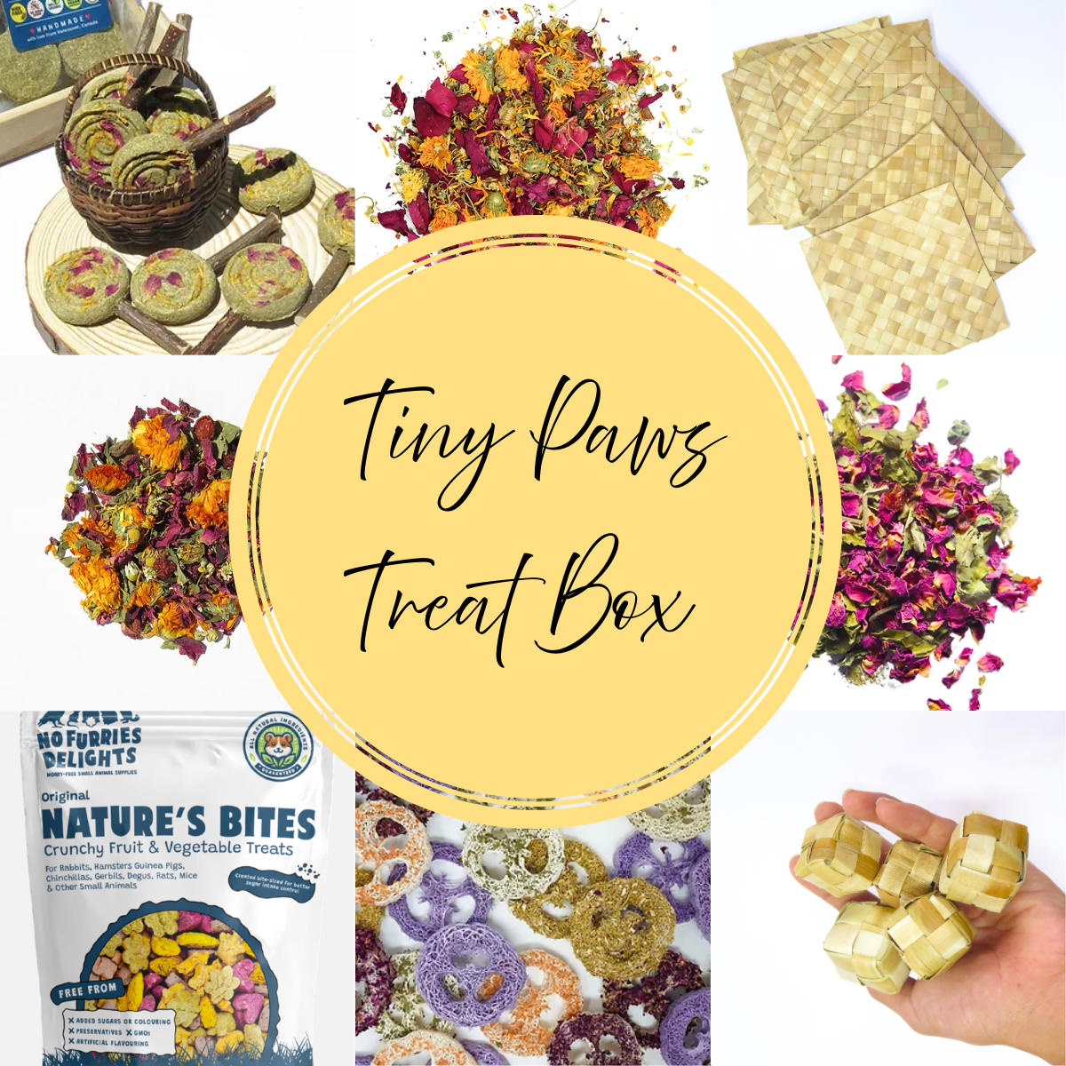 Tiny Paws Treat Box