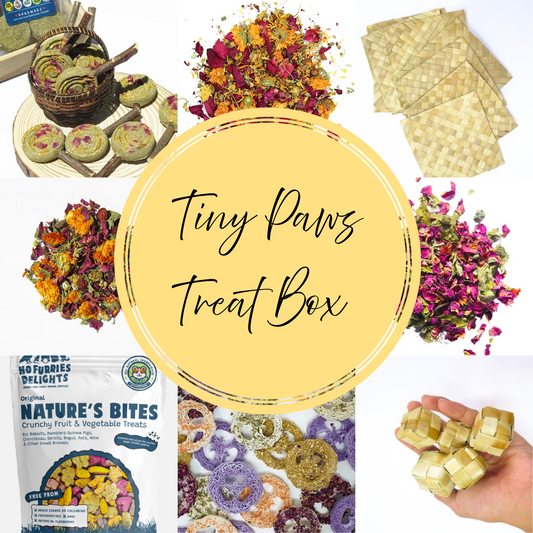 Tiny Paws Treat Box