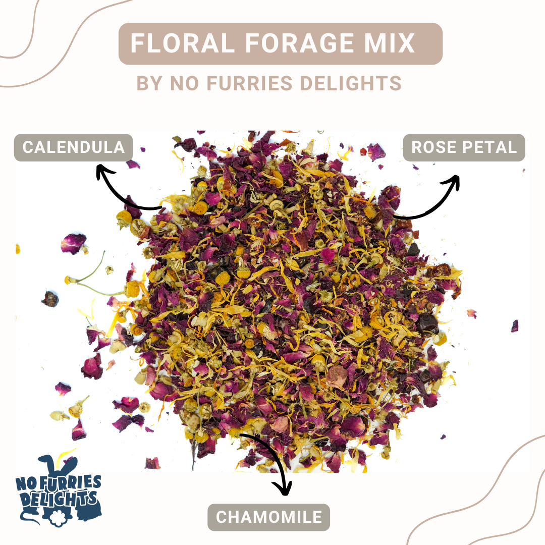 Floral Forage Mix