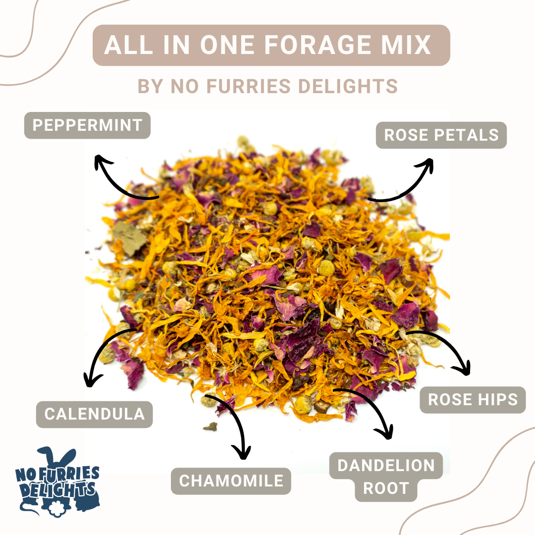 All-In-One Forage Mix