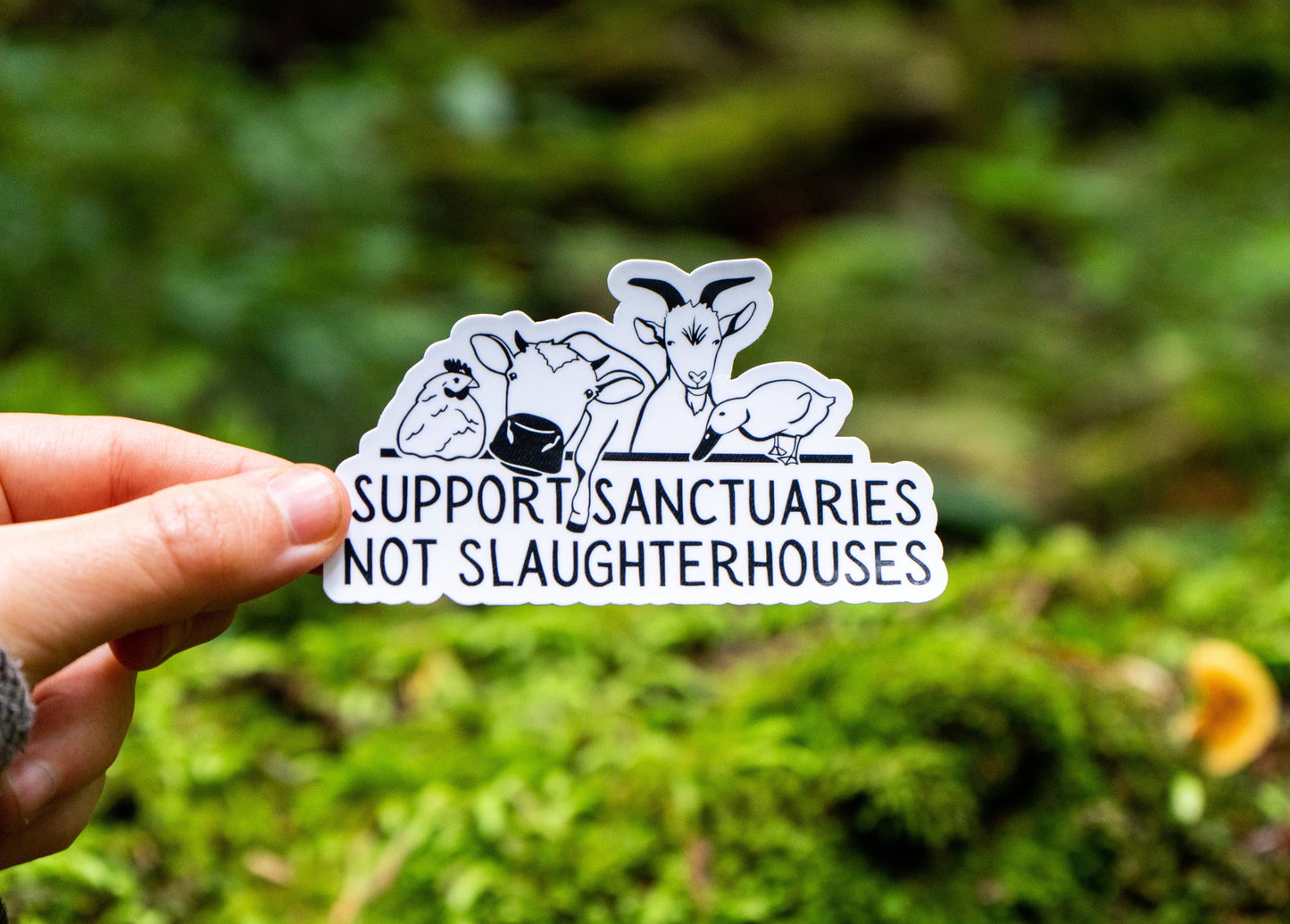 Support Sanctuaries Not Slaughterhouses | Sticker