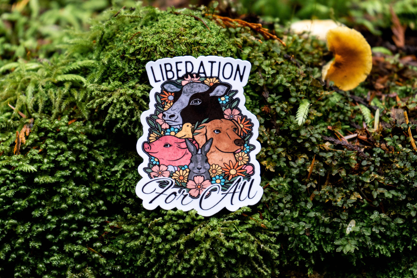 Liberation For All | Sticker